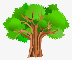 Big Tree Clipart - Tree Clipart Transparent #131211