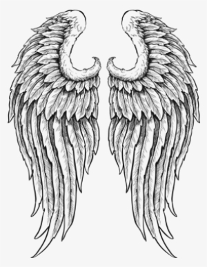 Banner Royalty Free Library Outline Of Wings Clip Art #131241