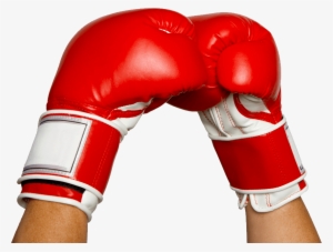 Boxing Gloves Hands - Hands In Boxing Gloves #131622