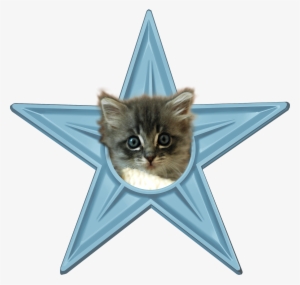 Cute Kitten Barnstar #131704