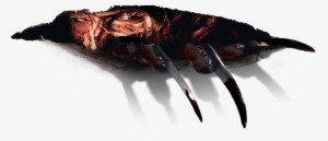 Freddy's Coming For You - American Lobster #131818