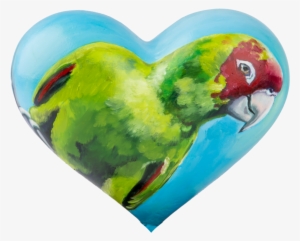 “sf - Macaw #132102