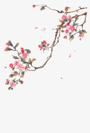 Cung Cấp "nguyên Liệu" Để Có Một Bức Hình Như Ý Nhớ #132180