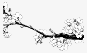 Cherry Blossom Clipart Transparent - Lan Wang Ji X Wei Wuxian #132347