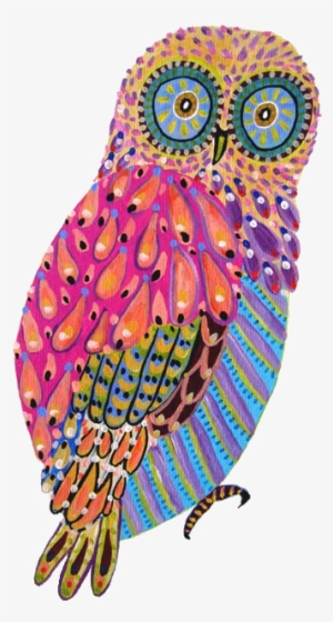 Owl Colorful #132917