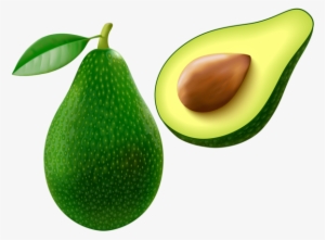 Avocado Png Vector Clipart Image - Clip Art Avocado #134104
