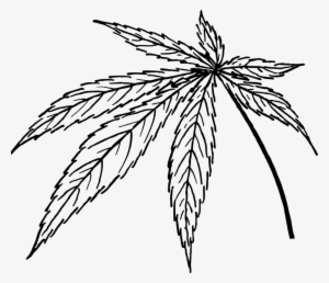 Cannabis Sativa Drawing Line Art Leaf #134497