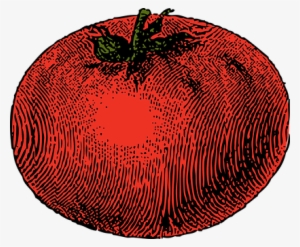 Tomato Vegetable Red Tomato Tomato Tomato - Tomato Clip Art #134686