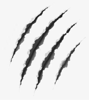 Claw Scratches Png Pic - Portable Network Graphics #135606