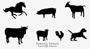 Vector Image Domestic Animal Silhouette Png File - Horse #136004