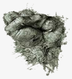 Herbicide Weed Grey Pattern - Nordmann Fir #136716