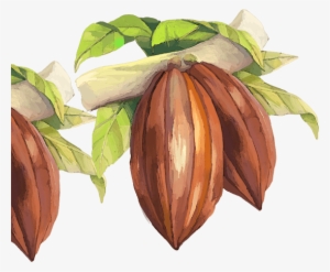 Lindt & Sprüngli Produces - Health #136736