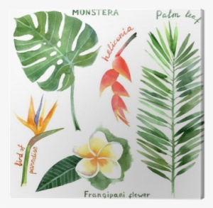 Blue Tassel Hoop Earrings #136760