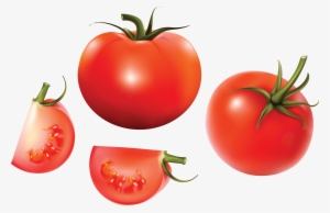 Tomato Splat Png Clip Art Free Library - Tomato Png #136826