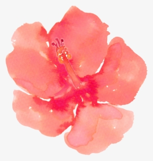 Png Freeuse Stock Painting Download Clip Art Hand Painted - Hibiscus Watercolor Clipart #136901