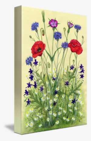 Wheat Field Flowers By Sue Abonyi - Wheat Fields #137033