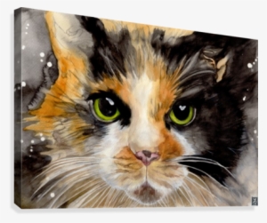 Miaow Watercolour Soul Canvas Print - Artist #137084