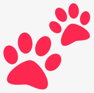 Paws #137235