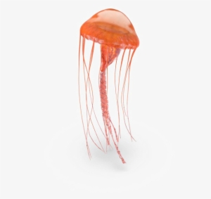 Jellyfish Png Pic - Jellyfish Png #137388