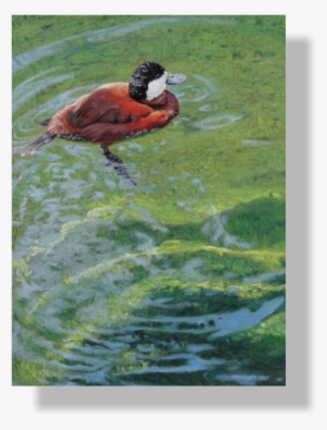 "the Art Of Scott Yablonski" - Art #137680