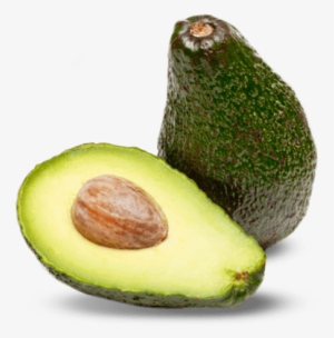 Avocado Png - Avocado #138148