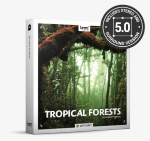 Tropical Forests Nature Ambience Sound Effects Library - Sound Design Wav Nature Desserts #138216