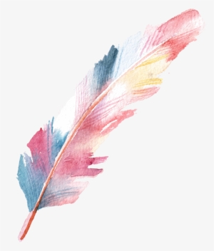 Feather Colorful Drawing Watercolor Handpainting Sprin #138398 Feather Colorful Drawing Watercolor Handpainting Sprin #138398