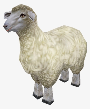 Zt2 Unused Sheep - Bighorn #138724