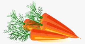 ニンジン フリー 素材 イラスト #138971