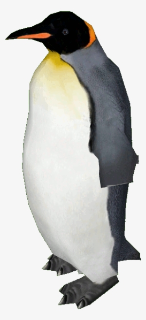 King Penguin #139459