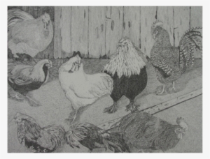 Picture - Chicken #139976