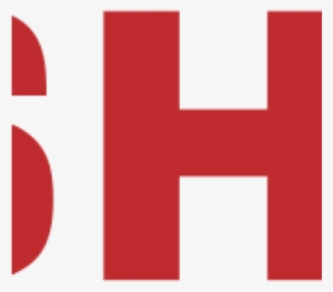 Toshiba Logo - Parallel #1300226