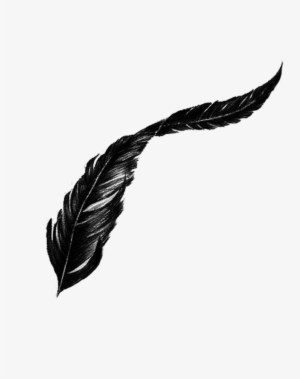 Bird Feather Png Transparent Image - Png Transparent Feather Png #1300272