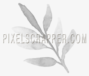 Watercolor Brush Kit 5 - Illustration #1300343