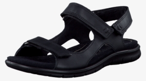 Babett Sandal Black Feather - Ecco #1300648