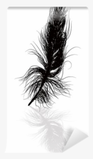 Black Feather And Shadow Illustration Wall Mural • - Attalea Speciosa #1300830