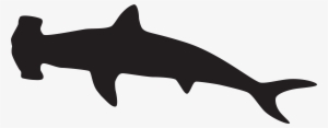Silhouette Clipart Shark - Hammerhead Shark Silhouette #1302229
