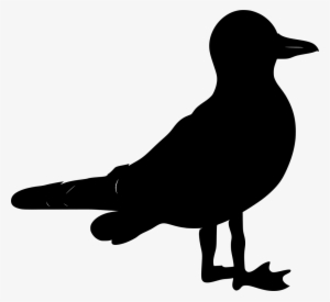 Download Png - Bird #1302745