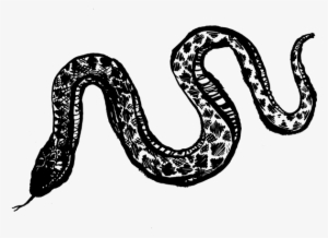 Inertia - Reptile #1303564