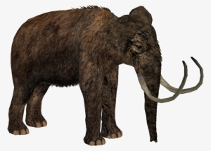 Woolly Mammoth - Woolly Mammoth Zoo Tycoon 2 #1303744