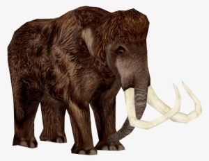 Woolly Mammoth Adult 1 - Zoo Tycoon 2 Woolly Mammoth #1303902