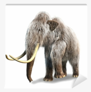 Photorealistic 3 D Rendering Of A Mammoth - Wooly Mammoth White Background #1304679