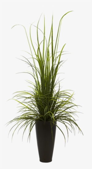 Plant Vase Png - Nearly Natural Indoor Outdoor 64" River Grass #1305204