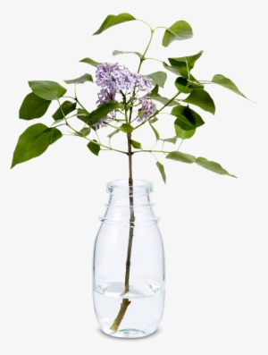 Bottle Vase - Vase #1305205