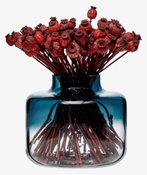 Magnolia - Vase #1305229