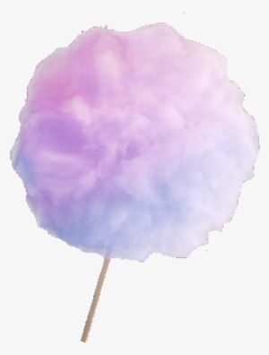 Peony #1305370 Peony #1305370