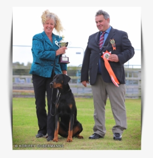 Korifey Dobermann Male Korifey Rage Jw - Male #1306772