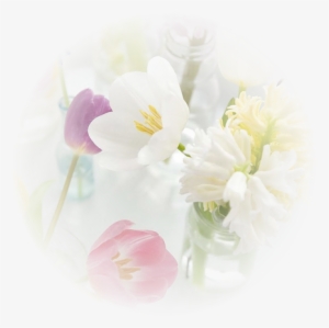 So Soft - - Pastel #1307225