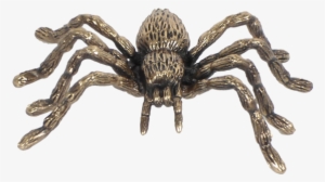 Spider - Drawing #1307746