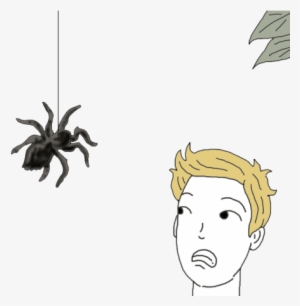 Tarantula - Dream Dictionary #1307918